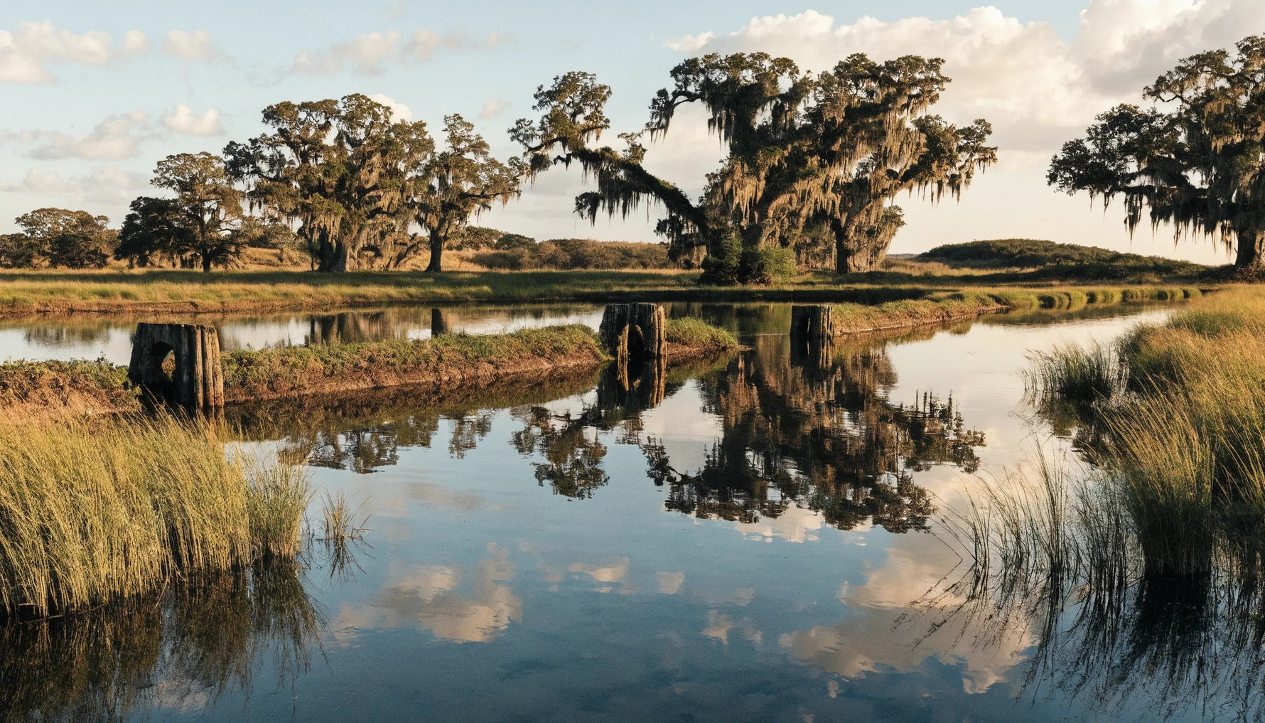 Historic Lowcountry tidal rice field at golden hour with still reflective water, earthen dikes and moss-draped live oaks