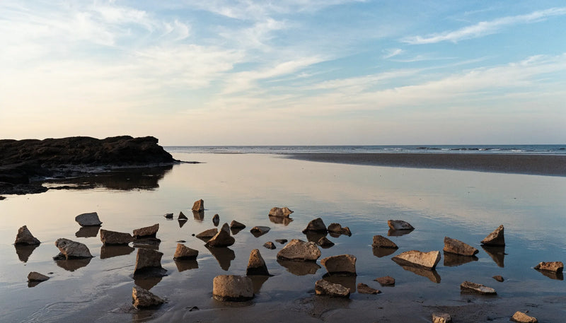 A low tide shoreline of dark wet sand with broken pieces of unglazed pottery half buried near the water line.